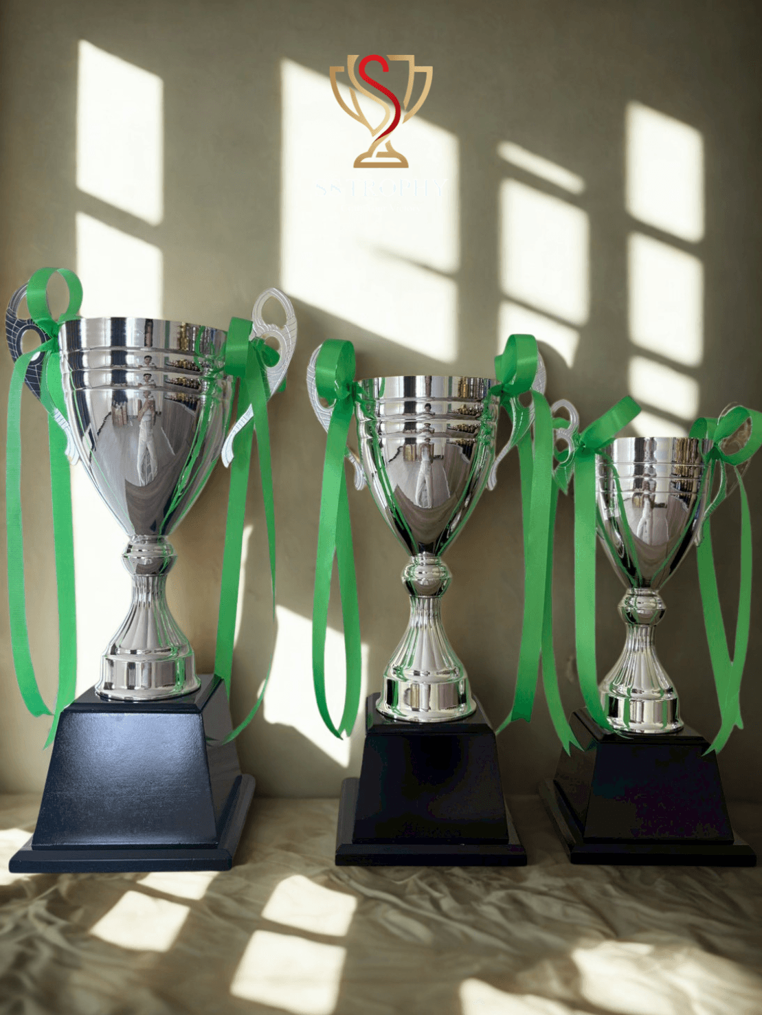 The Silver Victory Series (ถ้วยรางวัลโลหะ)