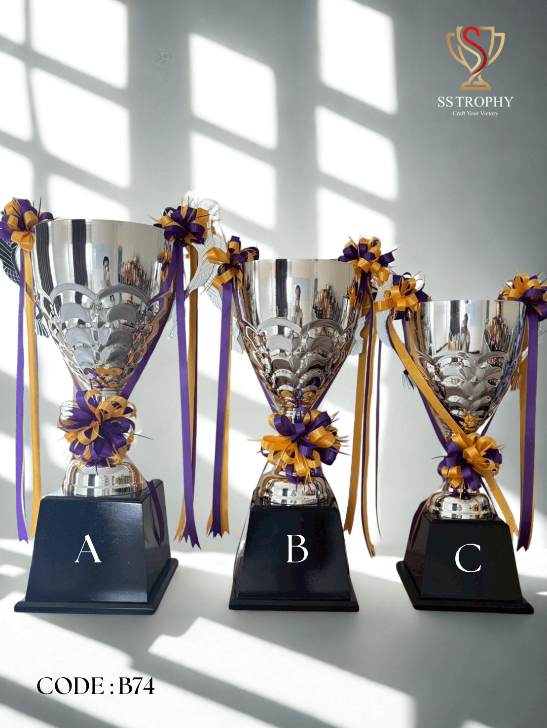 The Aurora Fusion Series (ถ้วยรางวัลโลหะ)