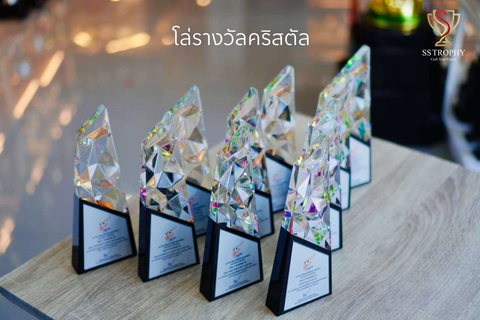 The Diamond Prism K9 Crystal Trophy