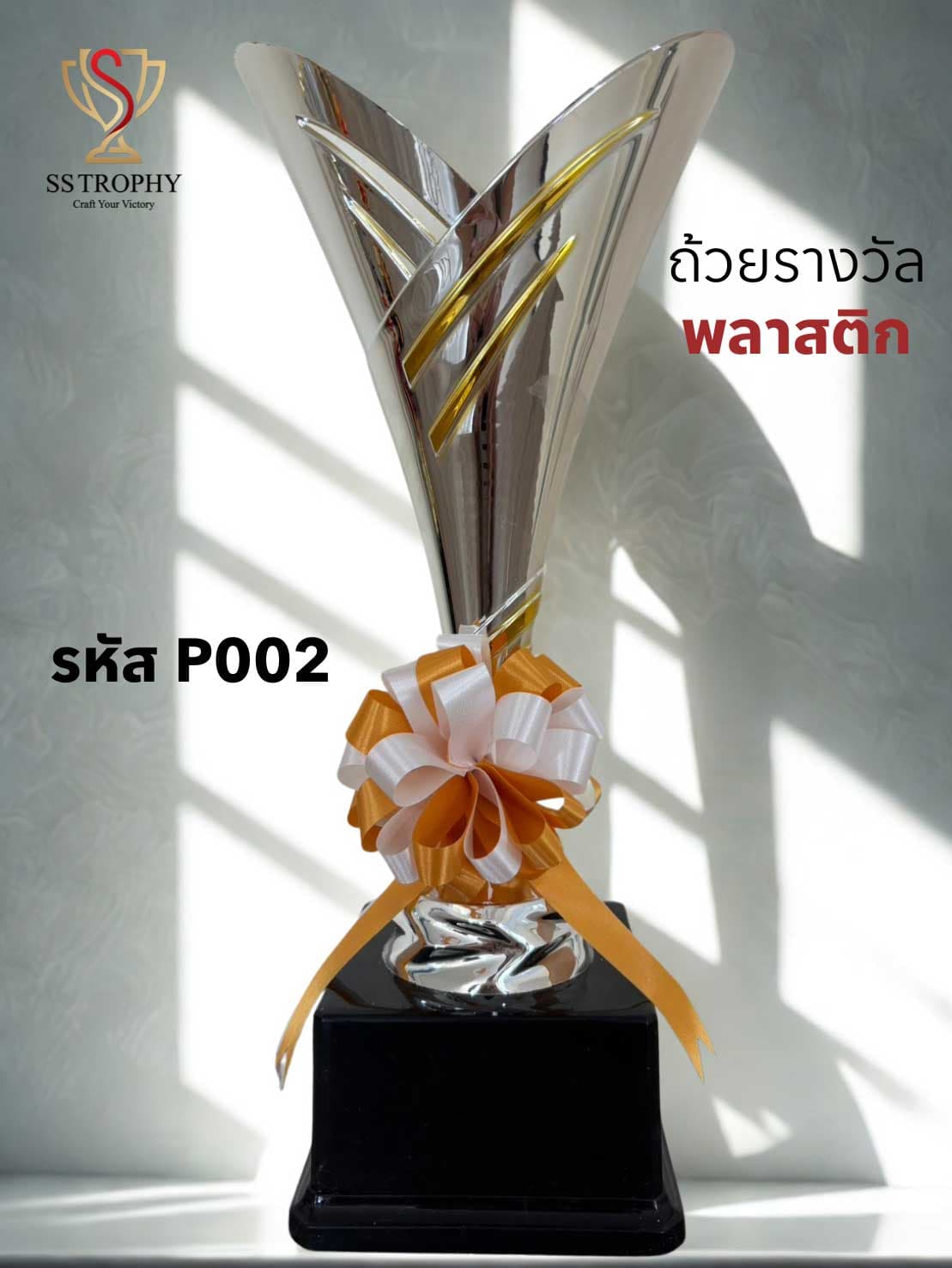 The Silver Wings Victory